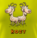 Kozy