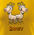 Kozy