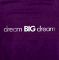 Dream big dream