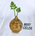 Bestceler